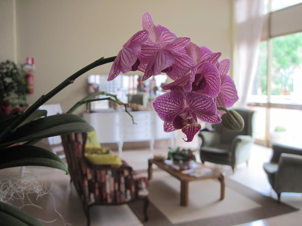 Фото Amadei Hotel Promenade