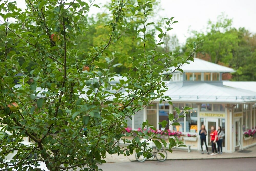 Фото Lisebergsbyn Bed & Breakfast