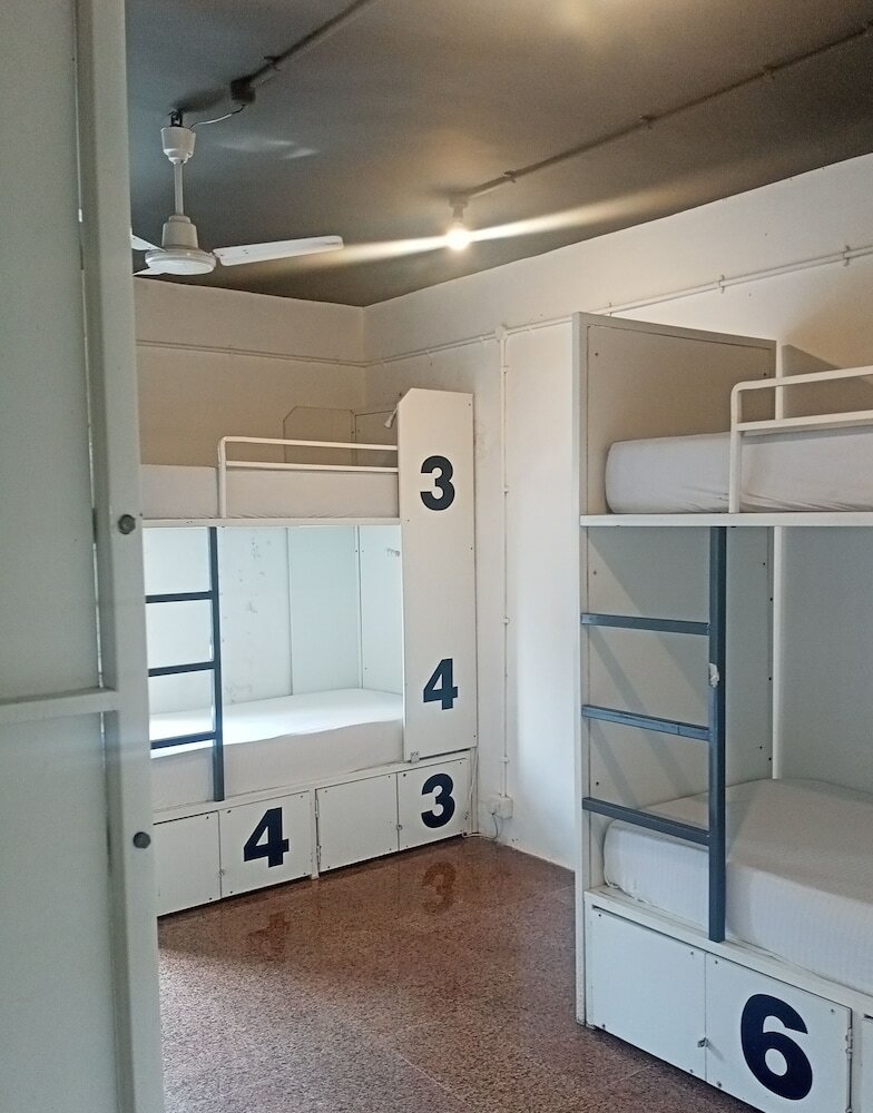 Фото Backpacker Cowies