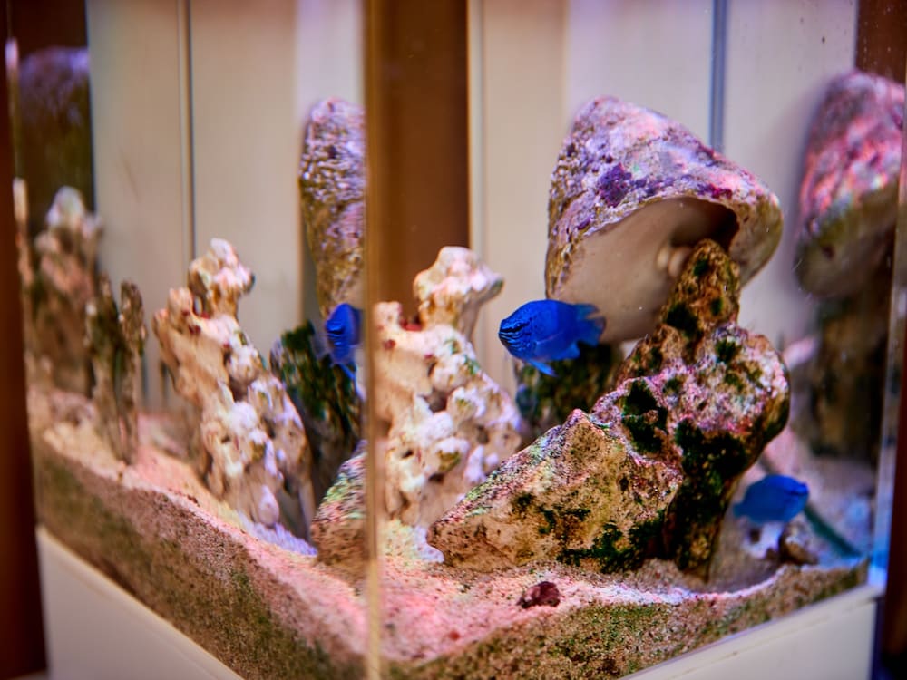 Фото Nagahama Beach Resort Kanon