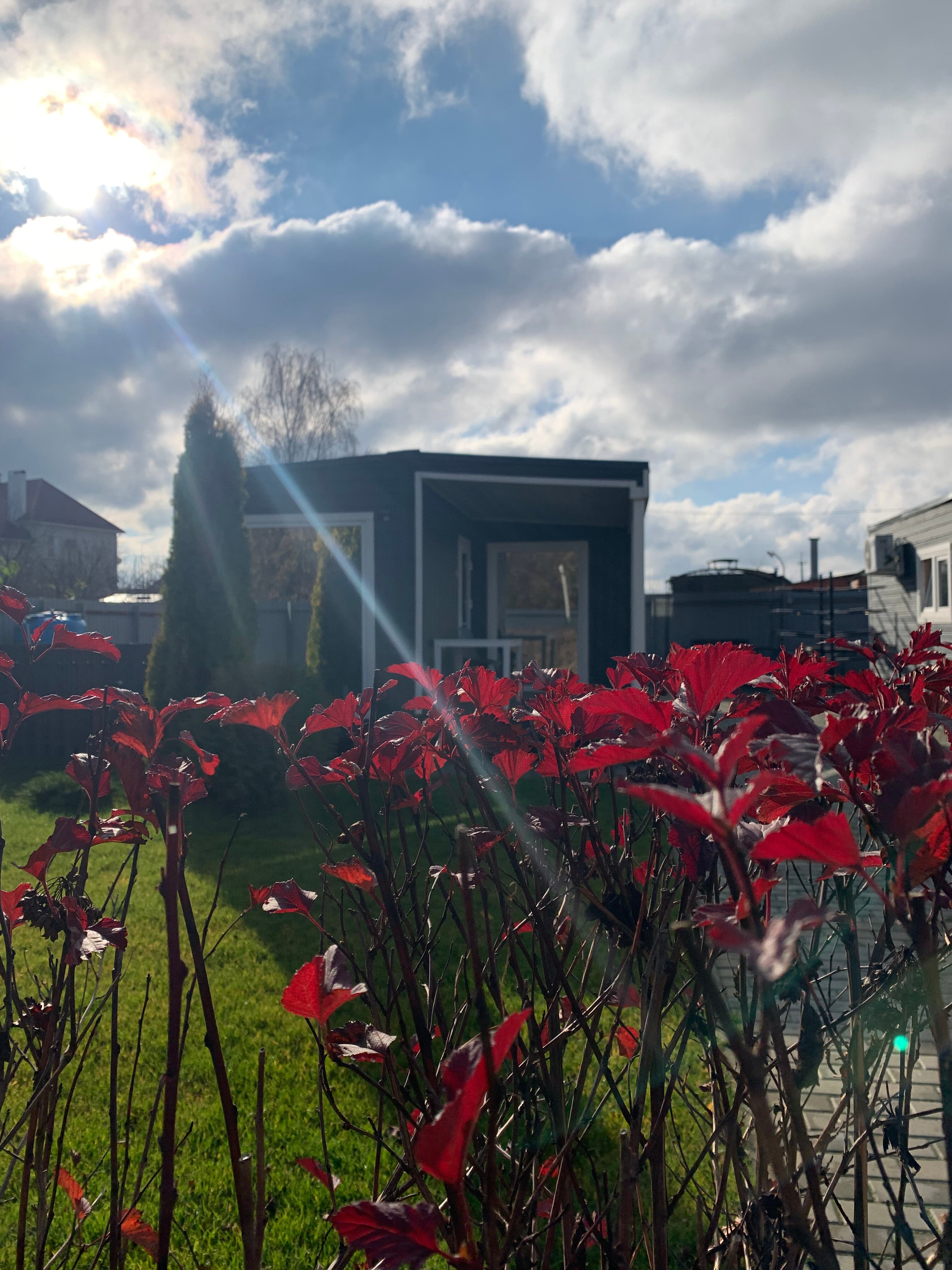 Фото Белая ворона