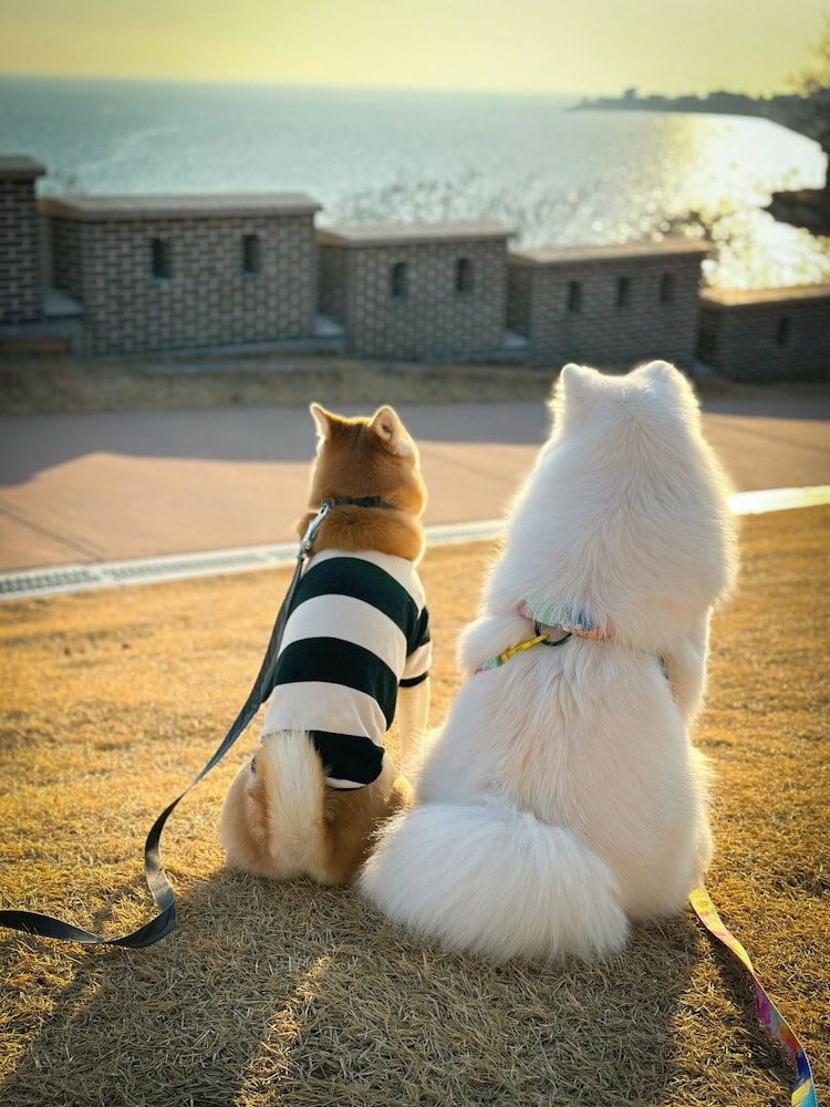 Фото Airsky Hotel