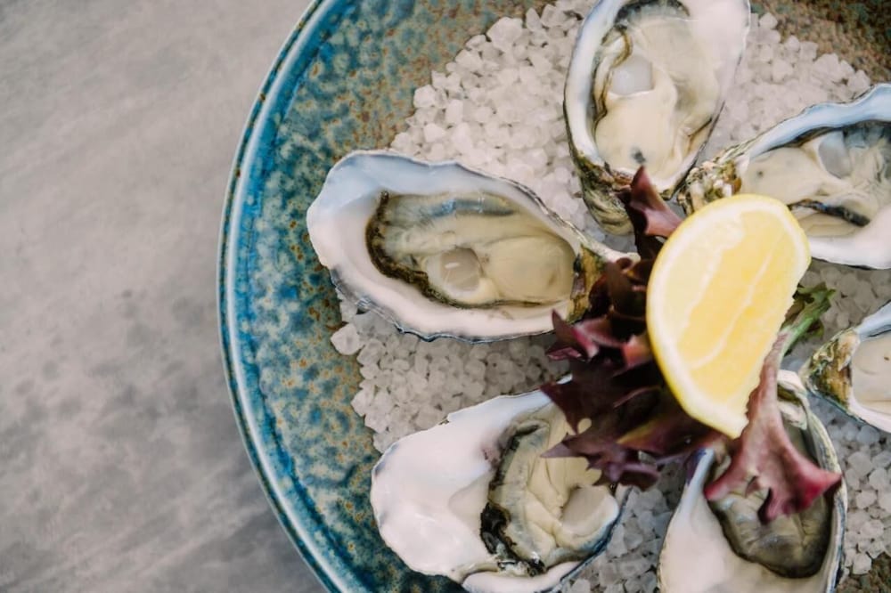 Фото Eastcoaster Tasmania