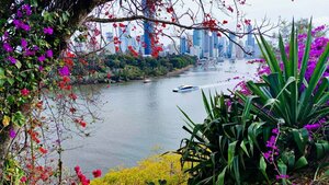 Гостевой дом The Cliff House