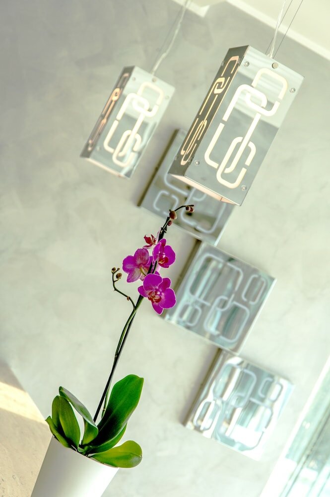 Фото Simon Hotel