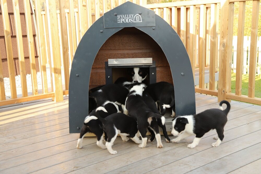 Фото The Kellbank