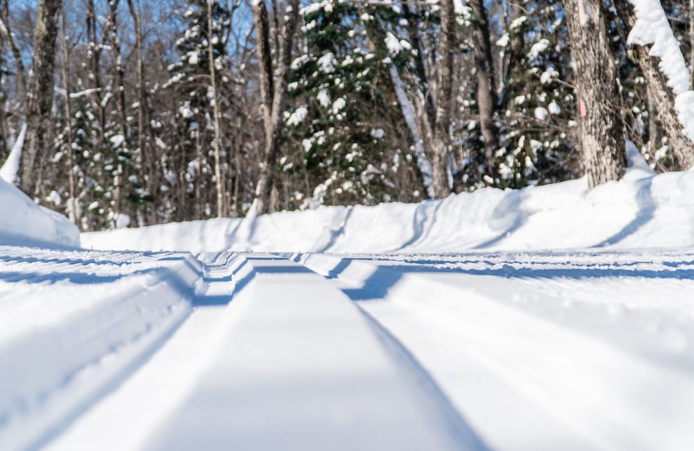 Фото Delta Hotels Sault Ste. Marie Waterfront