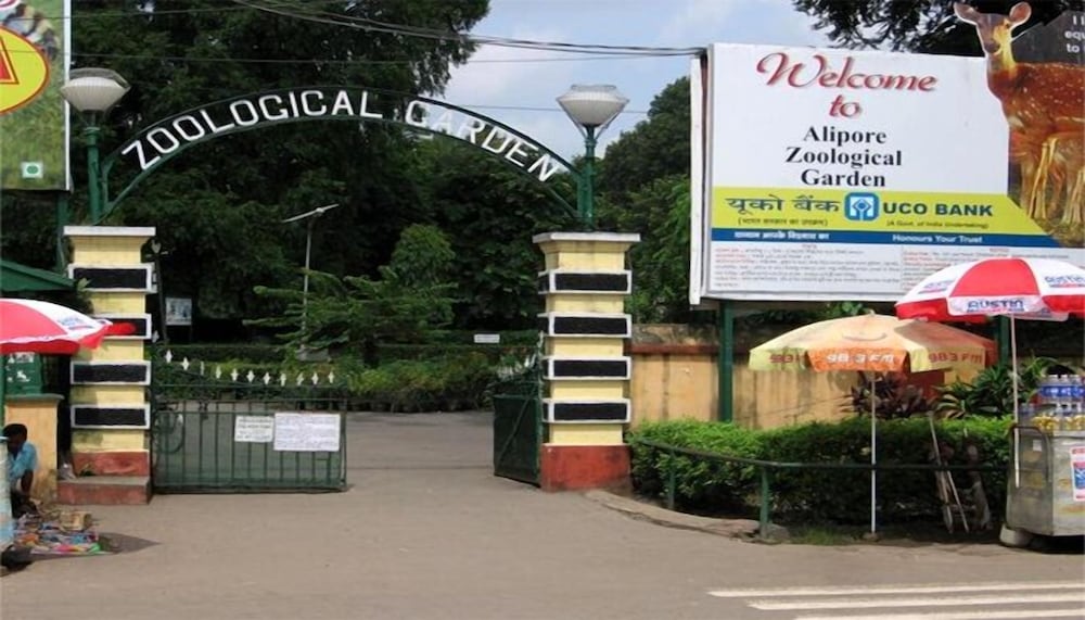 Фото 237257459610