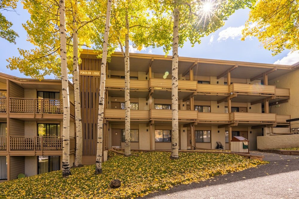 Фото Pokolodi Lodge