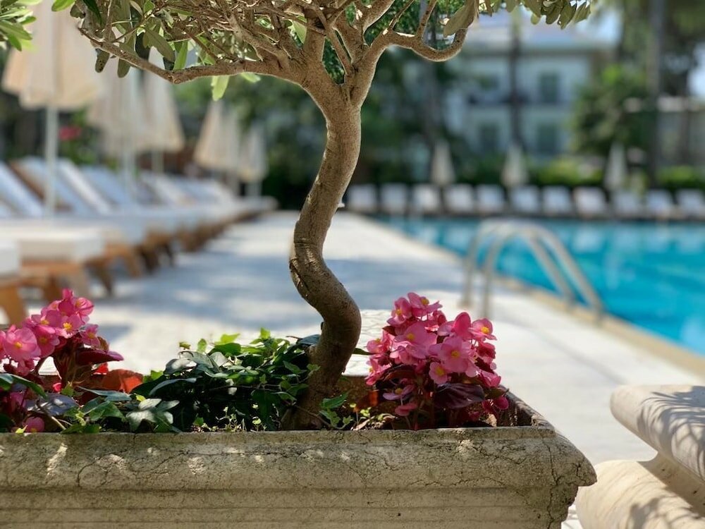 Фото Hotel Greif