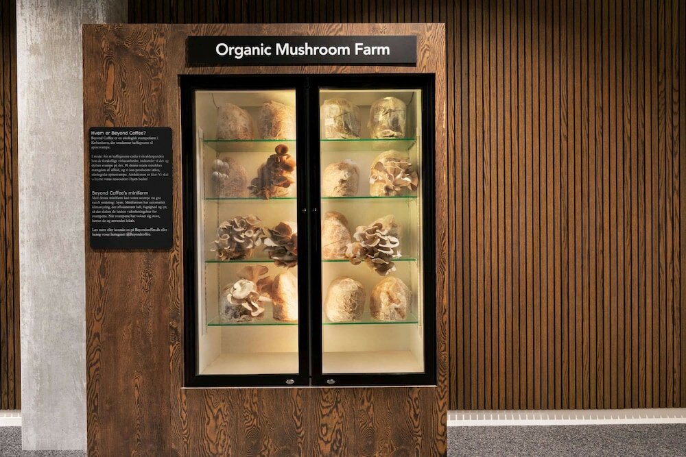 Фото Comwell Copenhagen Portside Dolce by Wyndham