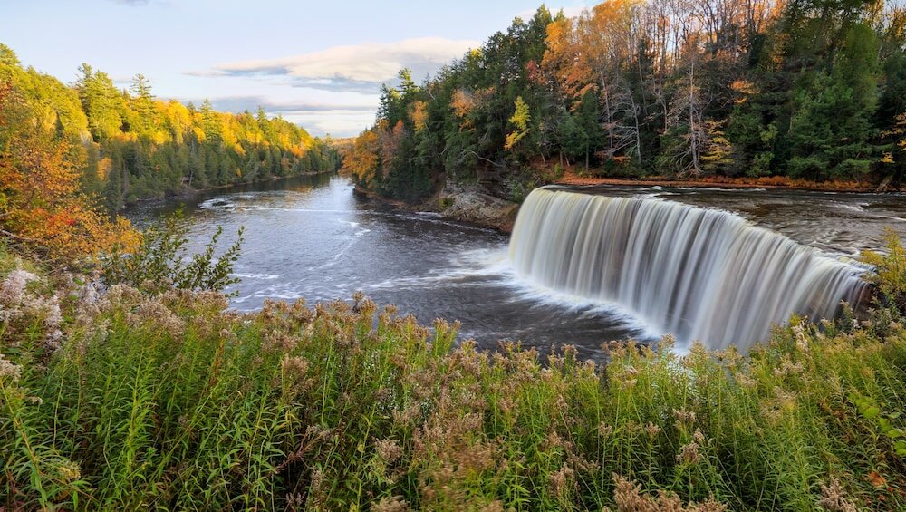 Фото Rodeway Inn