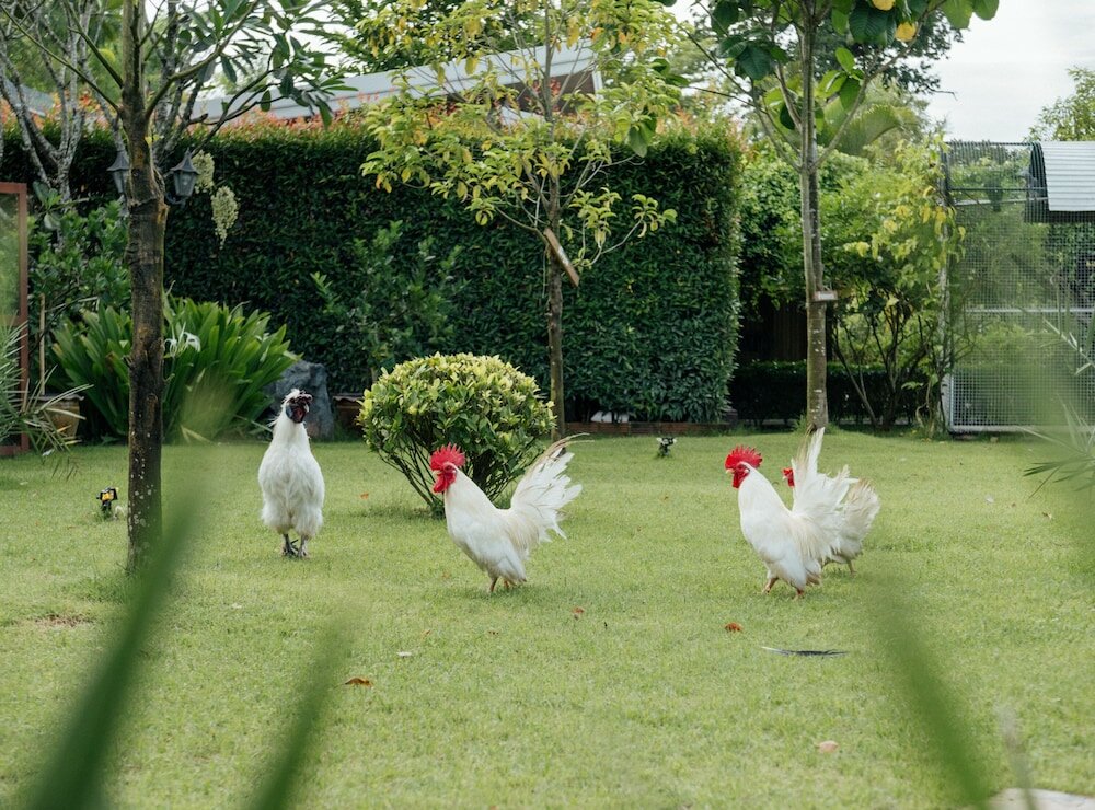 Фото Rai Fahpratan Home and Garden