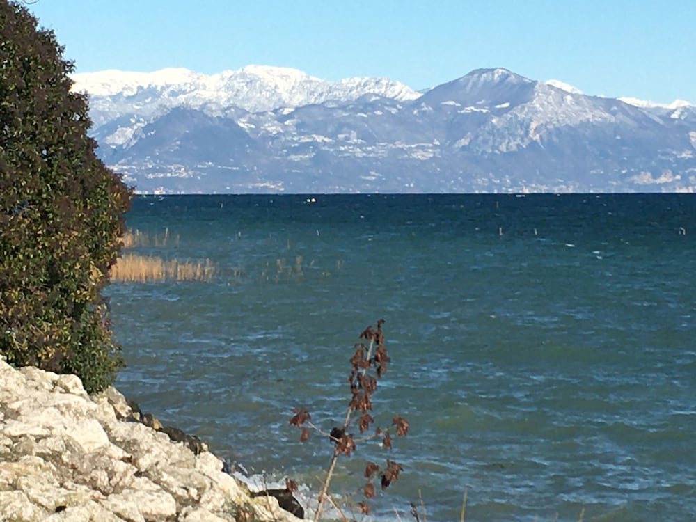 Фото Hotel Villa Rosa