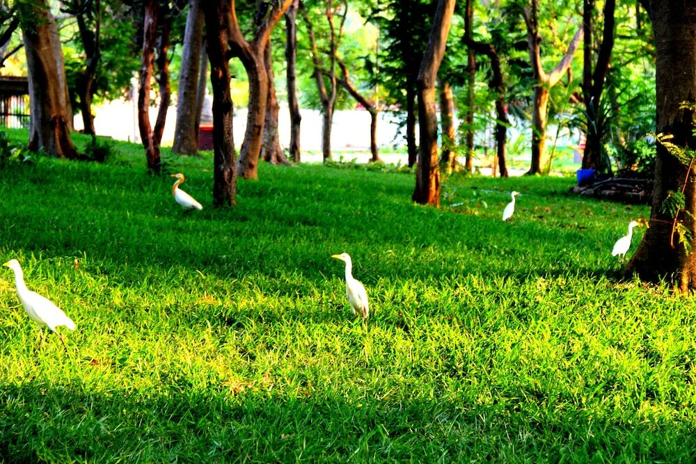 Фото Vgp Golden Beach Resort