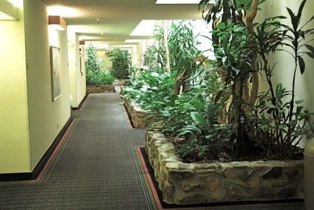 Фото Monarch Resort