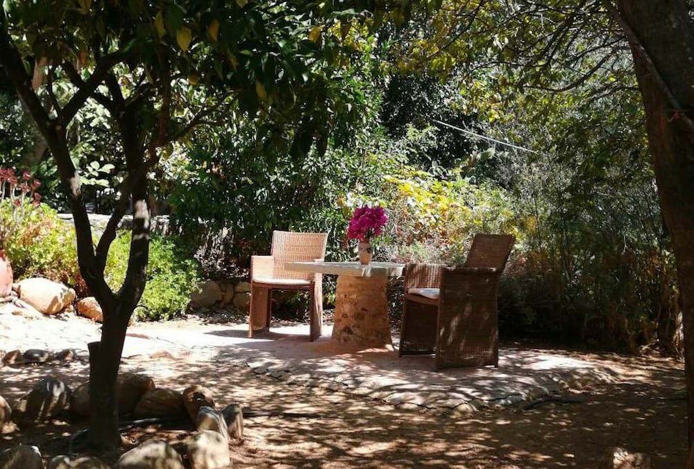 Фото Elia Traditional Hotel & SPA