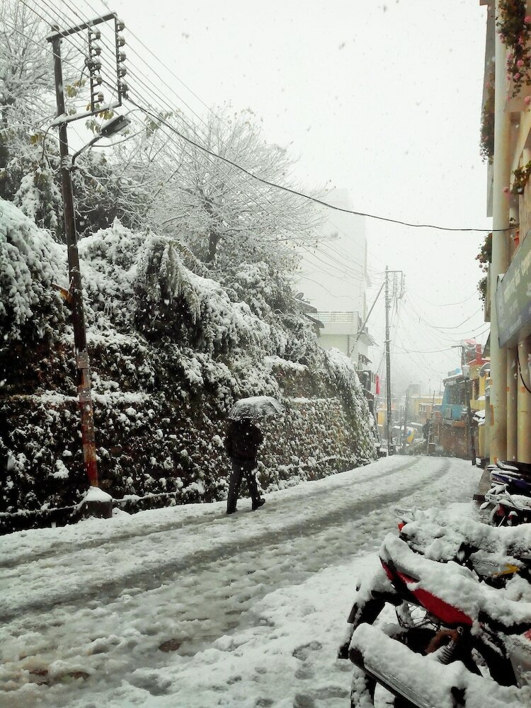 Фото Отель Shivalik Best Himalaya View In Almora