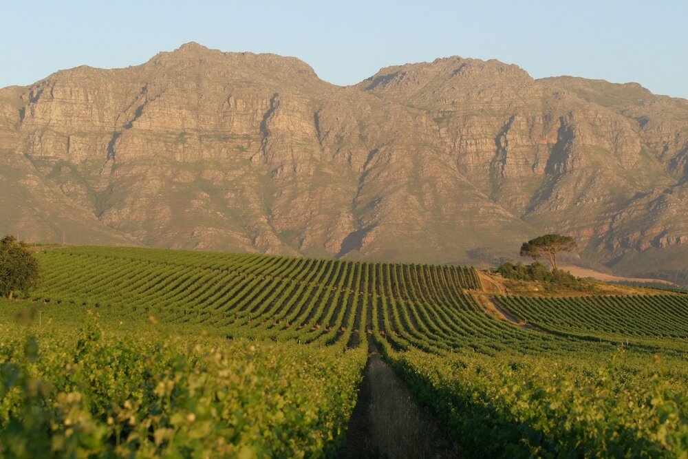 Фото De Zalze Lodge