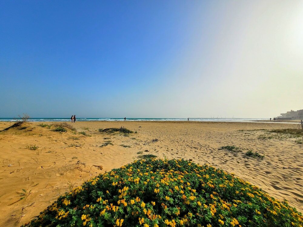 Фото Mare Nostrum Petit Hôtel