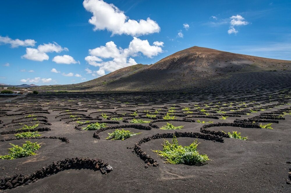 Фото Apartamentos Maribel