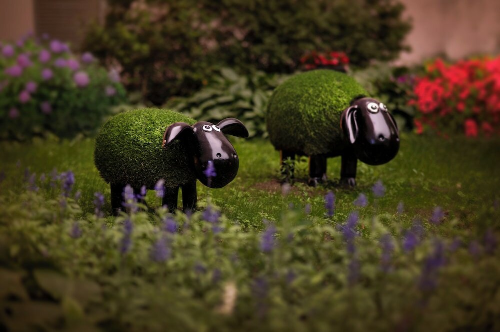 Фото Shangri-La Changchun