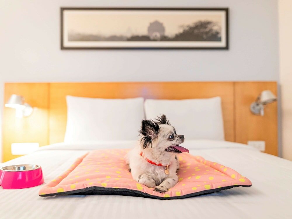 Фото ibis Bengaluru Hosur Road Hotel