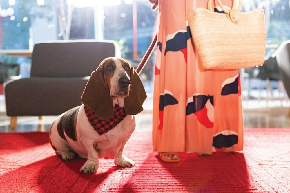 Фото Fiesta Inn Aeropuerto Ciudad de Mexico