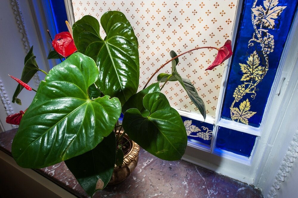 Фото Kildonan Lodge Hotel