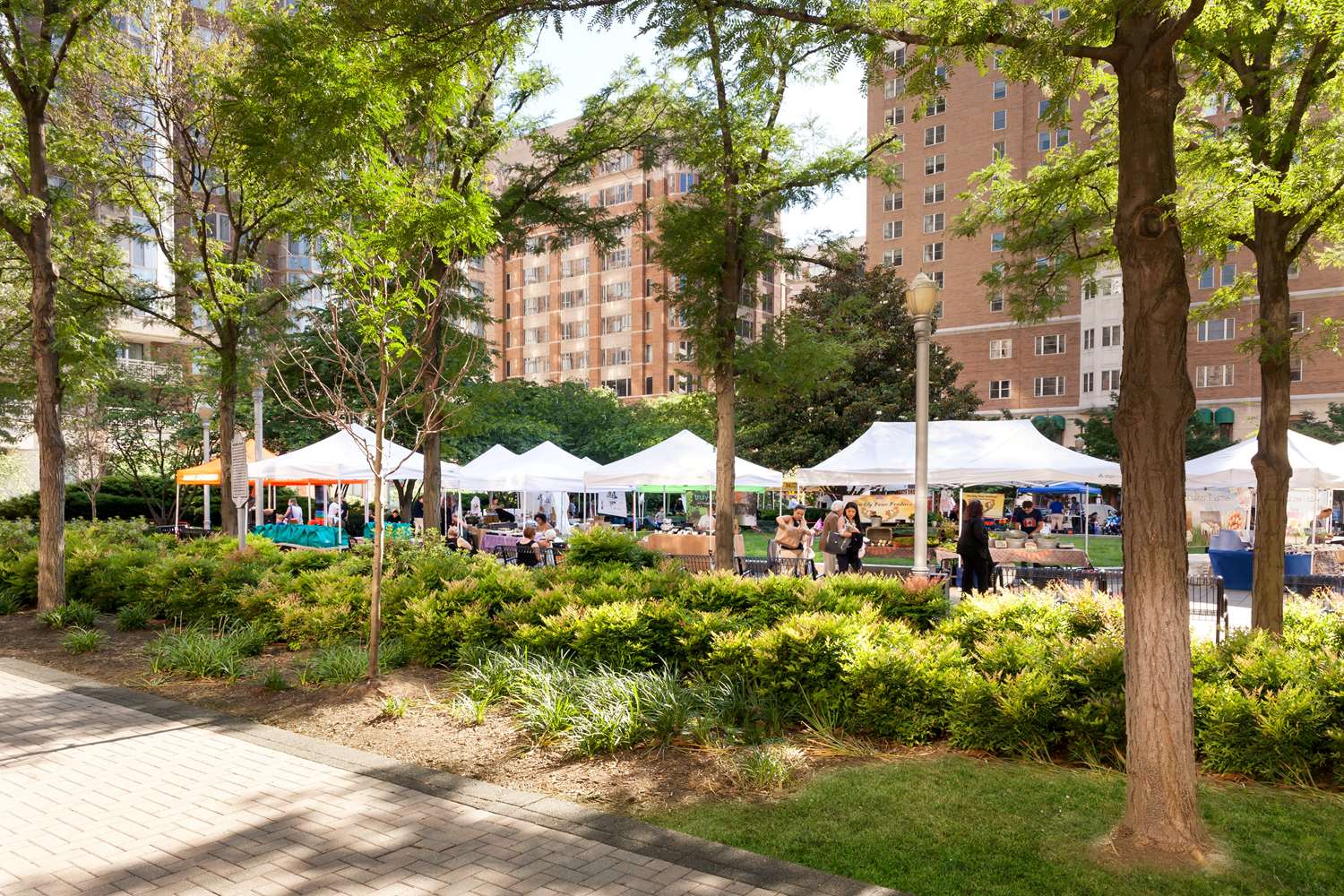 Фото Hilton Arlington