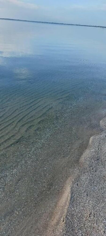 Фото Pousada Algodão da Praia