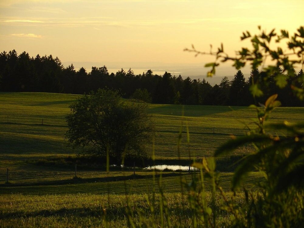 Фото Landhotel Herzberger