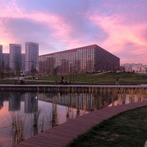 Фото Эколайнер