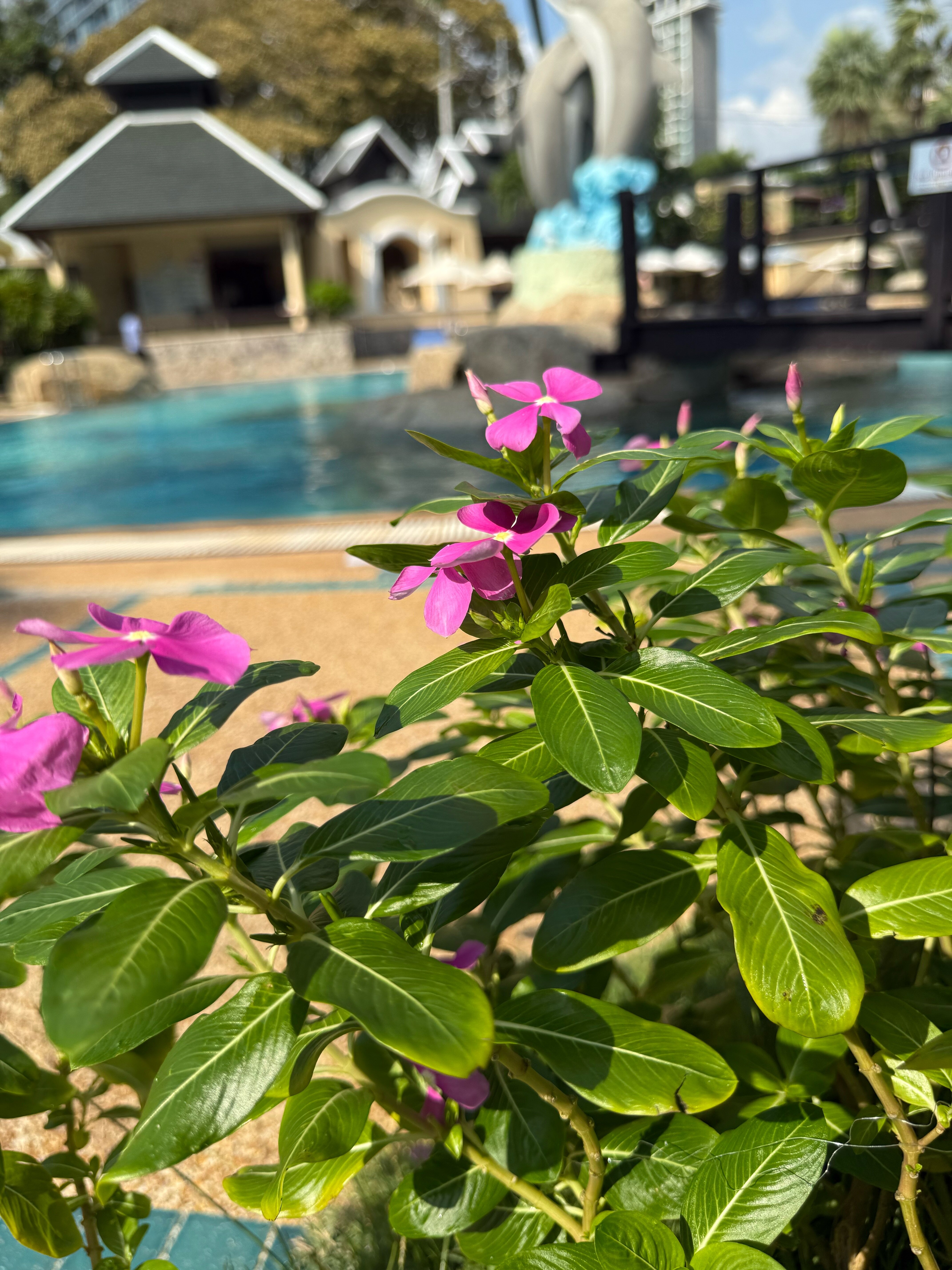 Фото Long Beach Garden Hotel & SPA