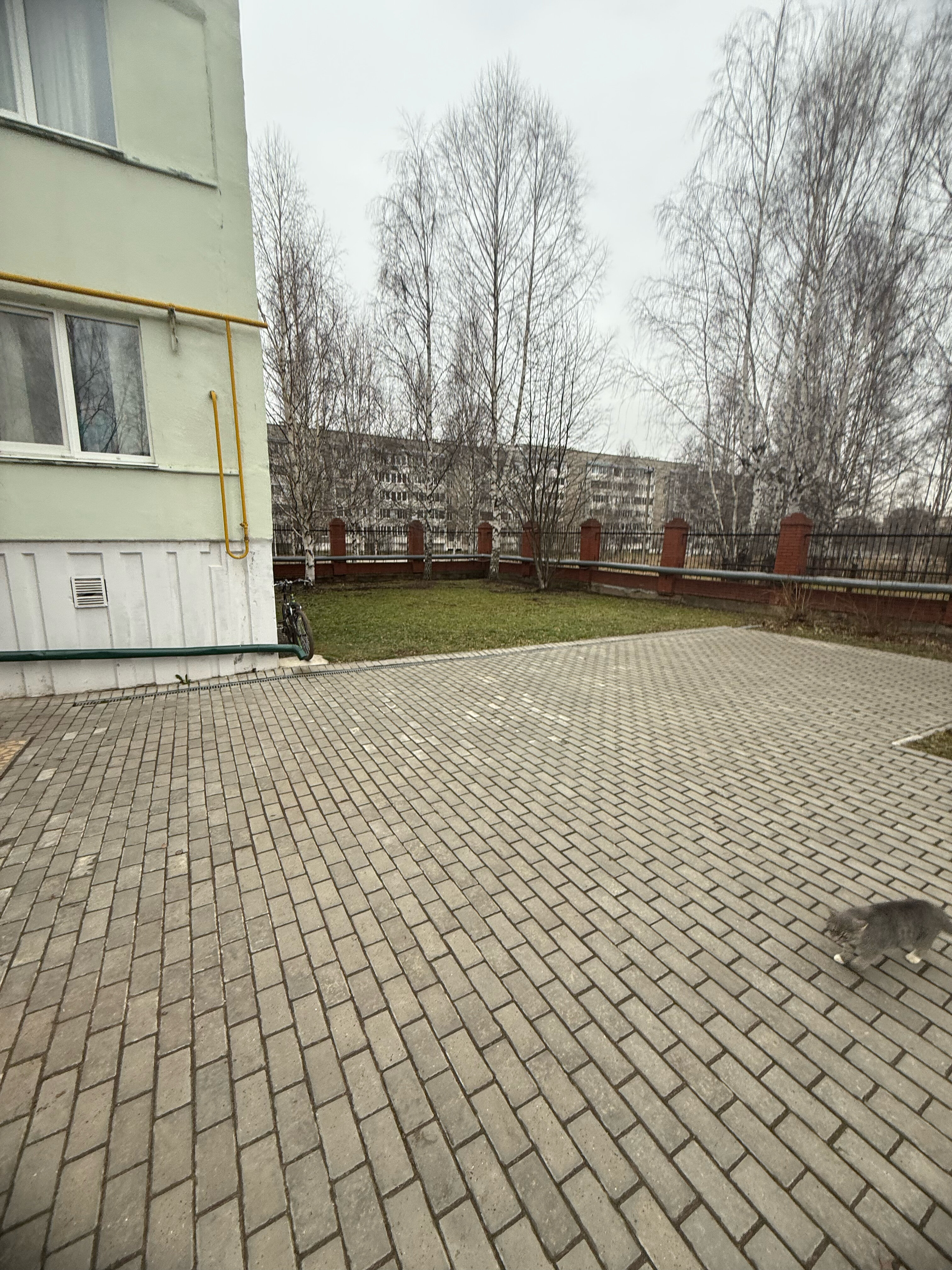 Фото Вешняки