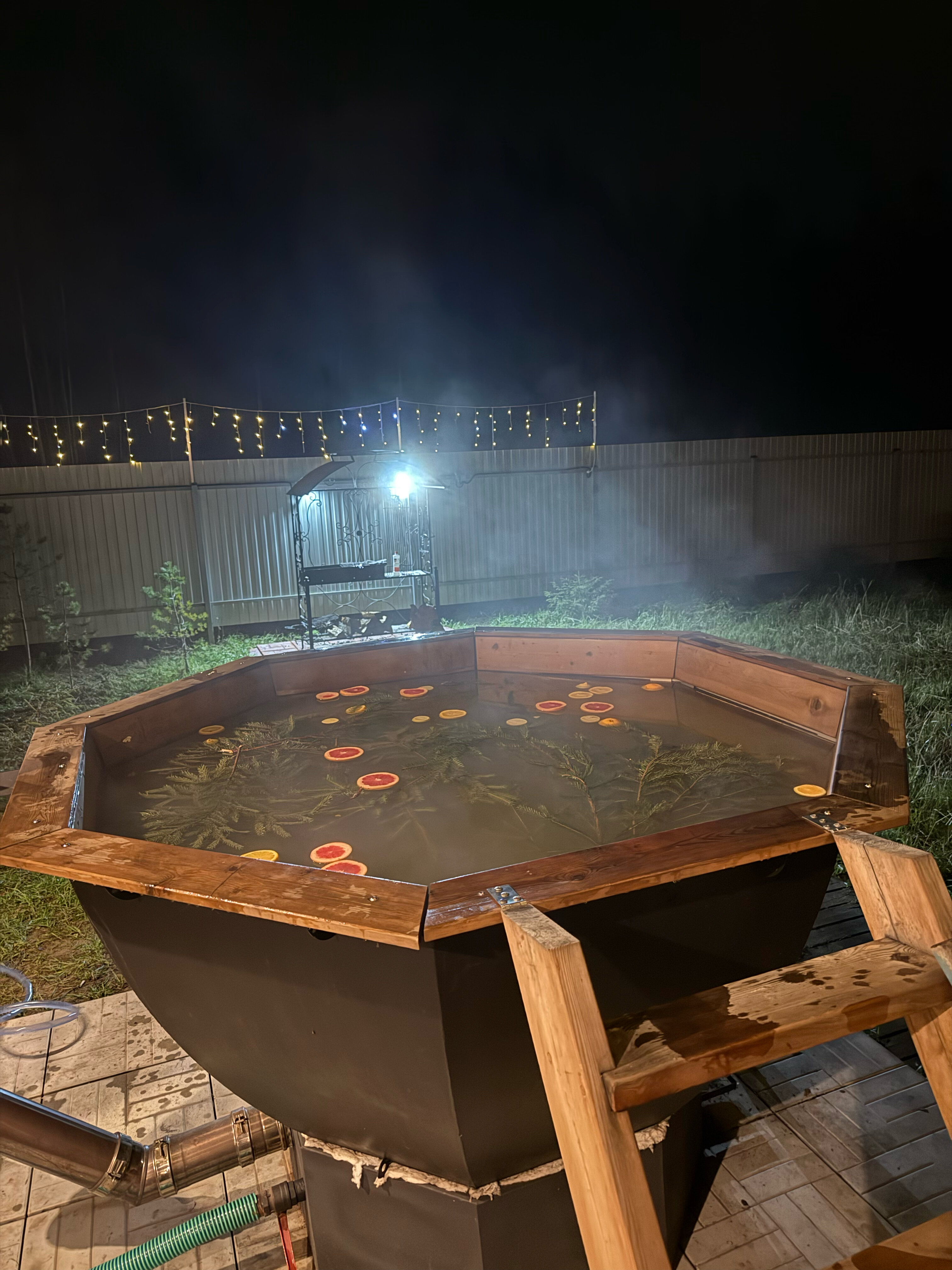 Фото Forest life