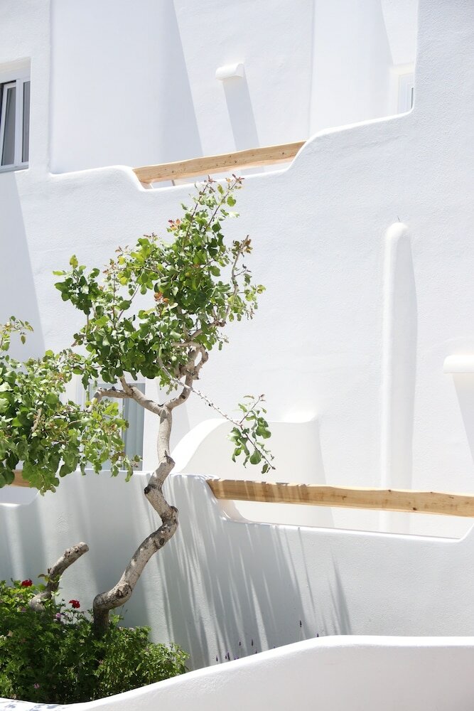 Фото Cavo Bianco Boutique Hotel & SPA