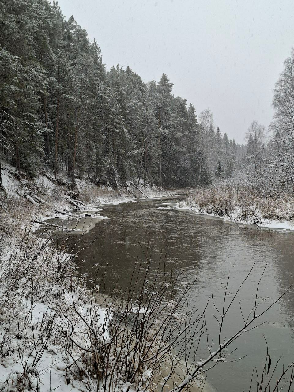 Фото Эко-Дача