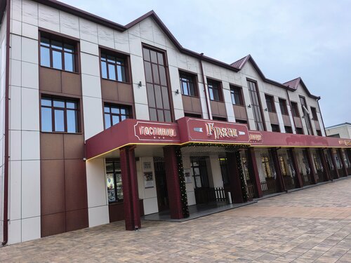 Gryazi Hotel