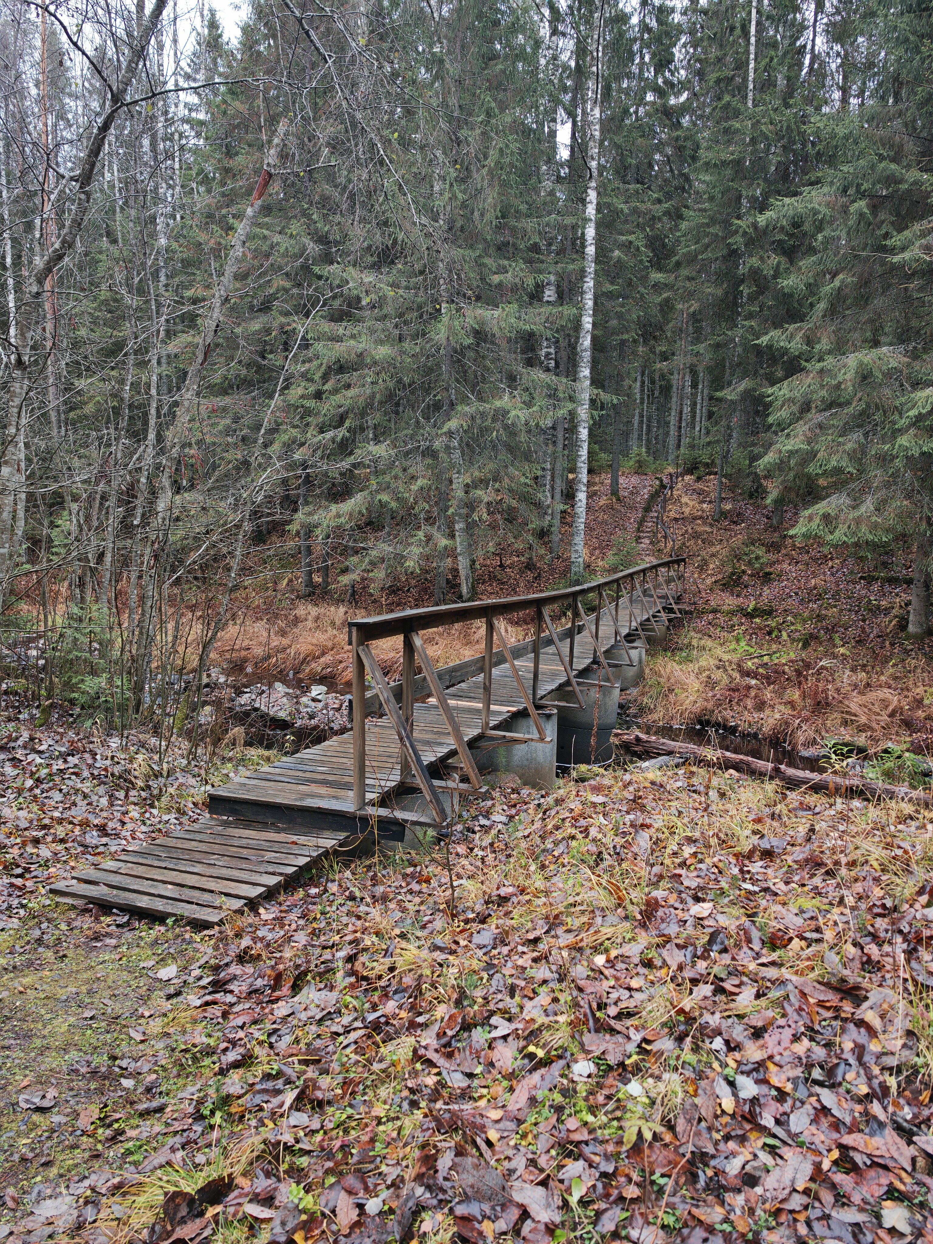 Фото Домик-Баня у речки Карелия