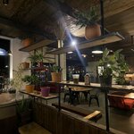 Mackbear Coffee (Mersin, Yenişehir, İstemihan Talay Cad., 266D), cafe