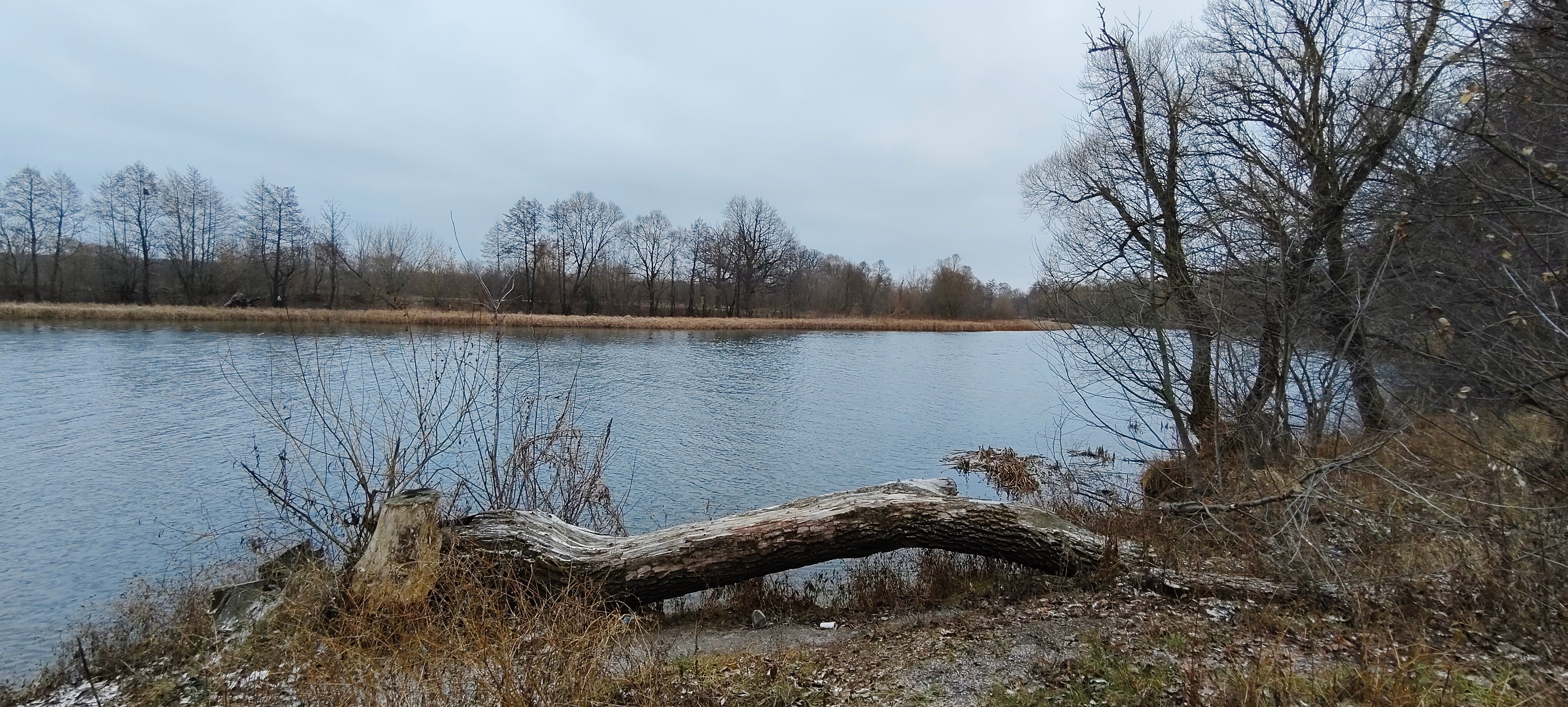 Фото Рекаоблака