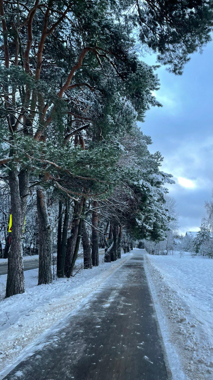 Фото 8 подушек