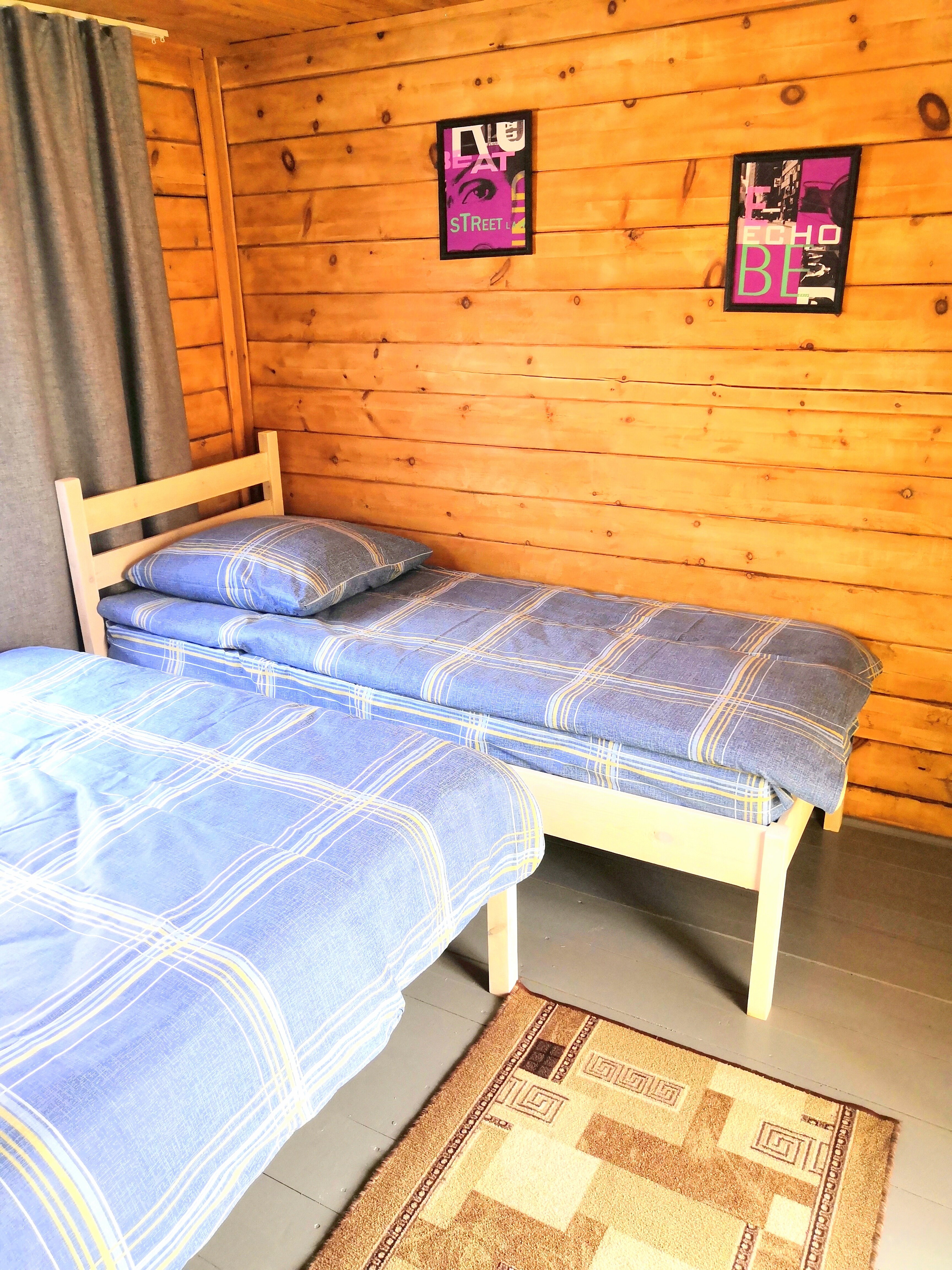 Фото Ель и кедр