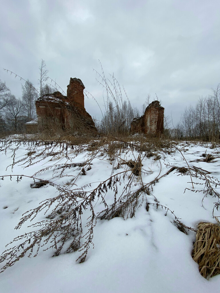 Orthodox church Tserkov Spasa Nerukotvornogo Obraza V Daratnikakh, Yaroslavl Oblast, photo