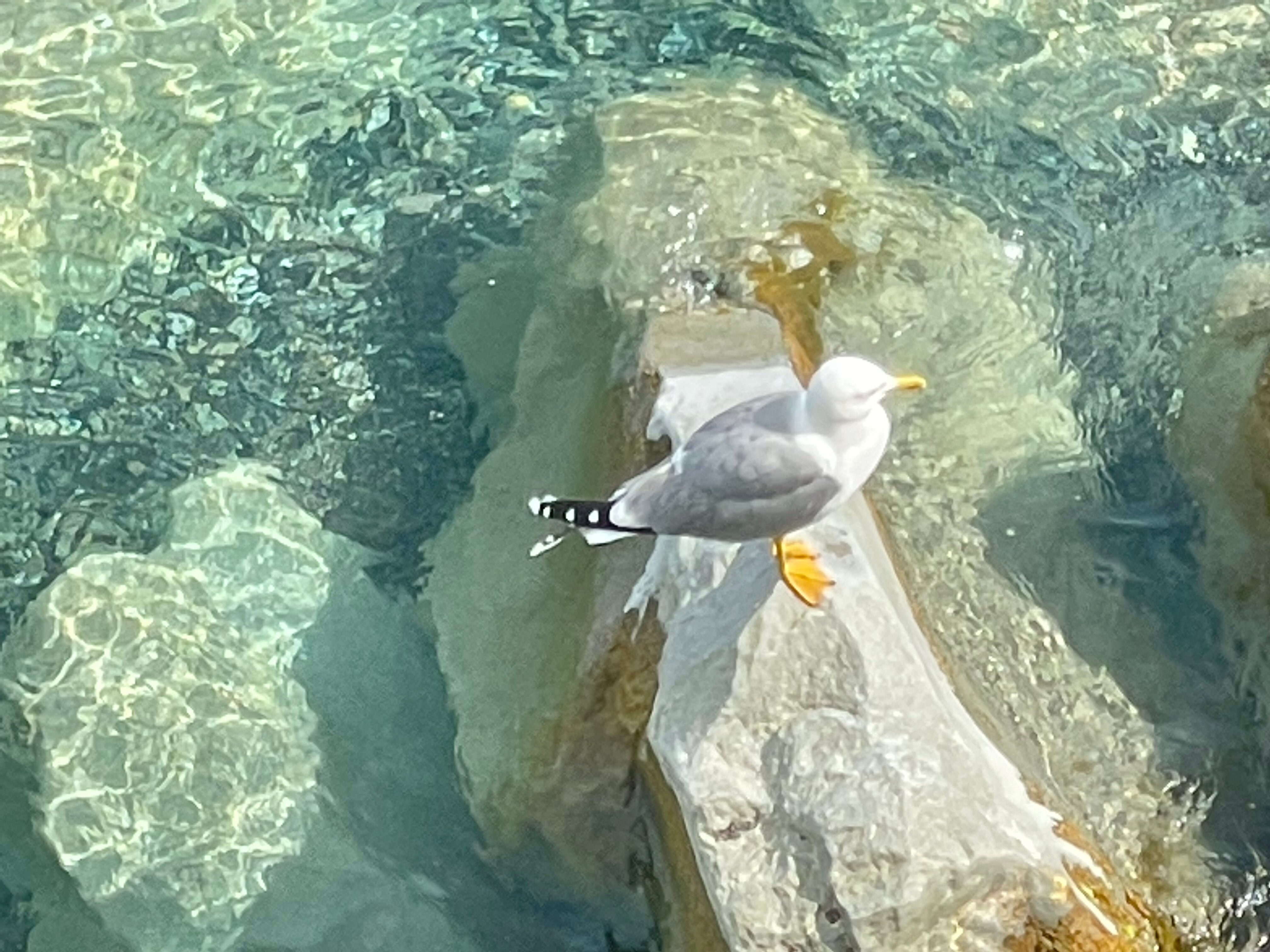 Фото Любимая