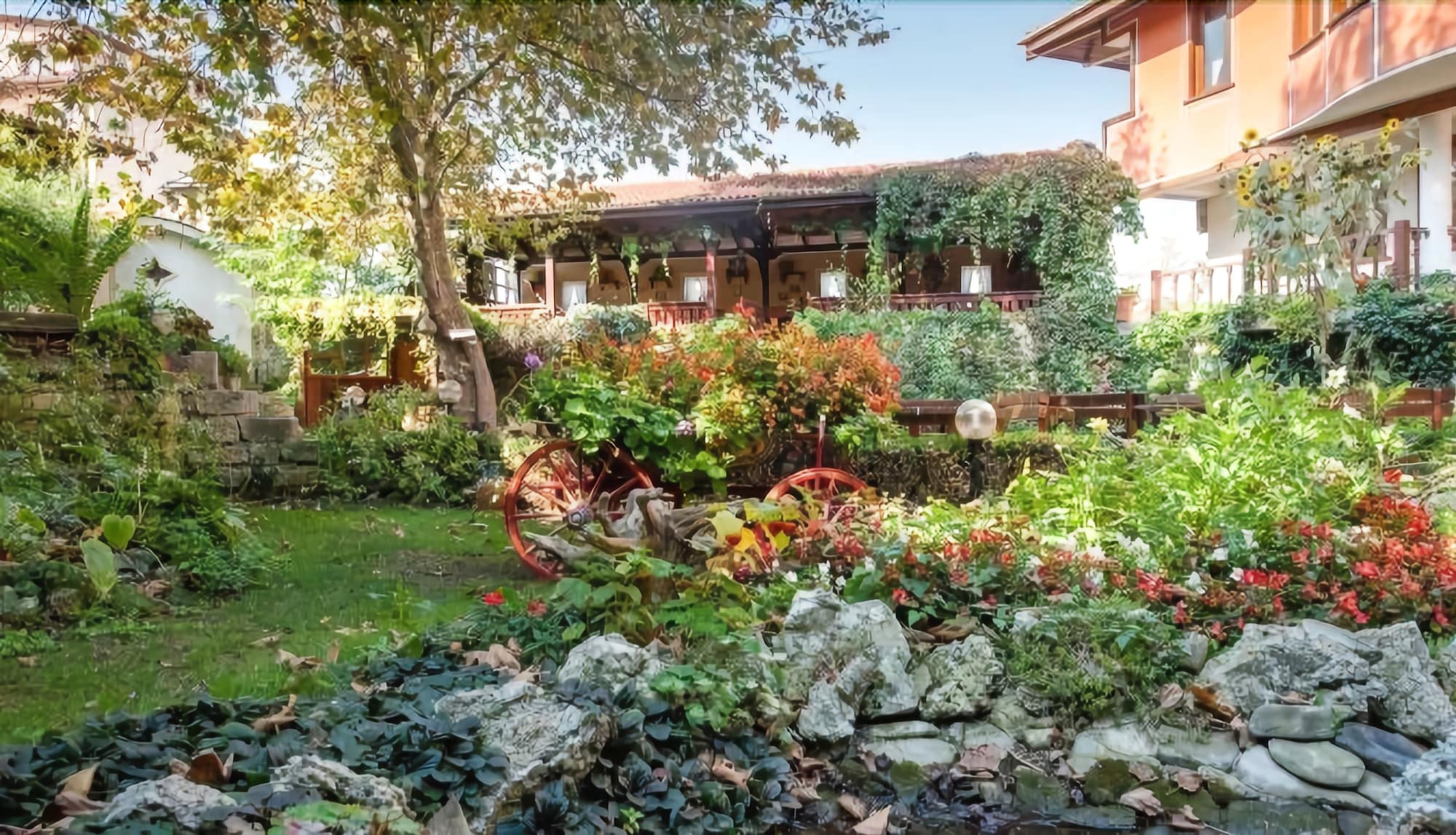 Фото Hotel Izvora