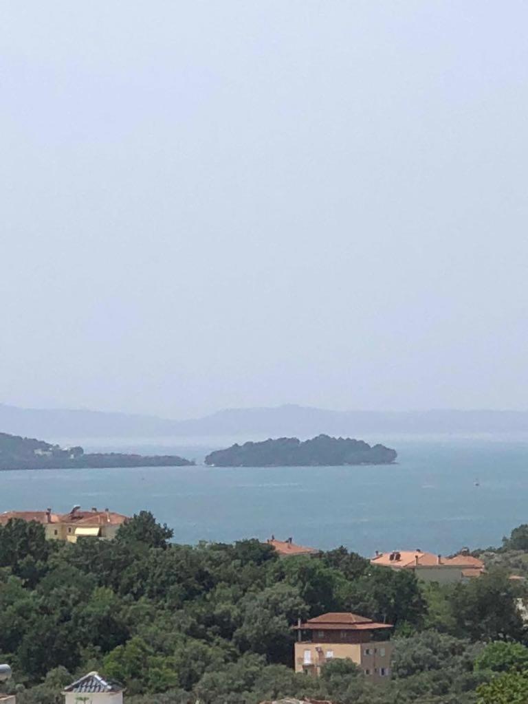 Фото Seleykos Palace Hotel