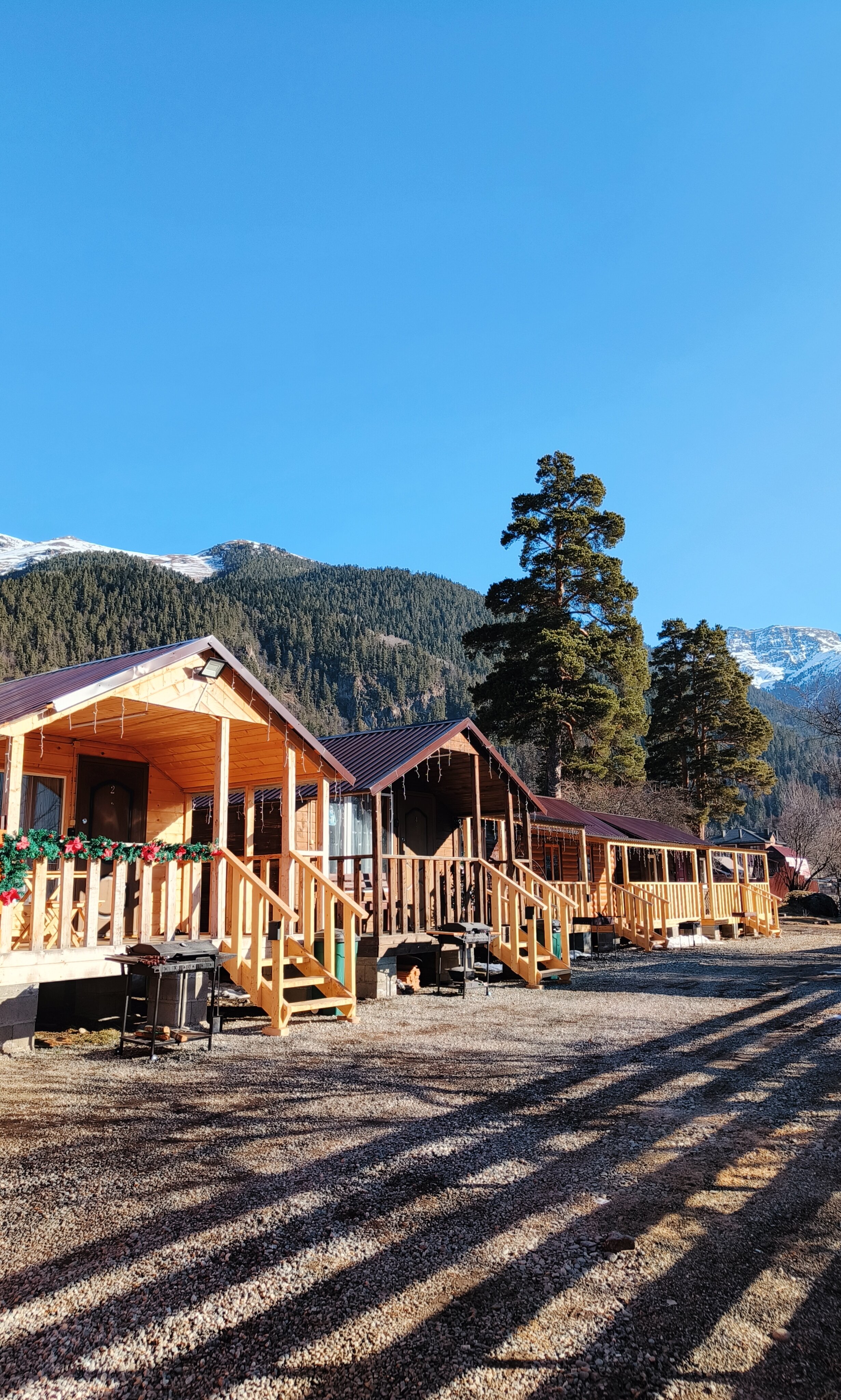 Фото Тамерлан