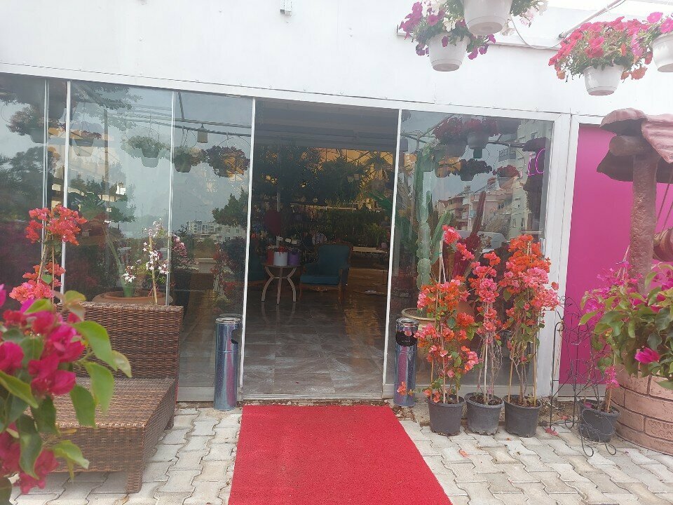 Flower shop Konyaaltı Çiçek Peyzaj, Antalya, photo